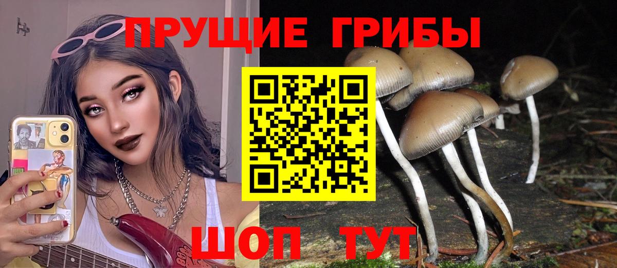 Псилоцибиновые грибы Psilocybe  Псилоцибиновые грибы Psilocybine cubensis  Набережные Челны  Вход с VPN 